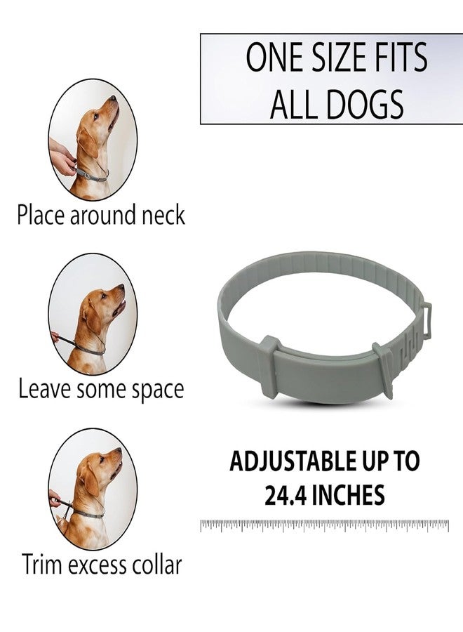 CRAZYABBS Flea and Tick Collar - 8 Month Protection Adjustable Waterproof Collar for Dog Puppy Kitten Cats, Natural & Safe Efficiently Repell Locust Lice of Pets - Image 3